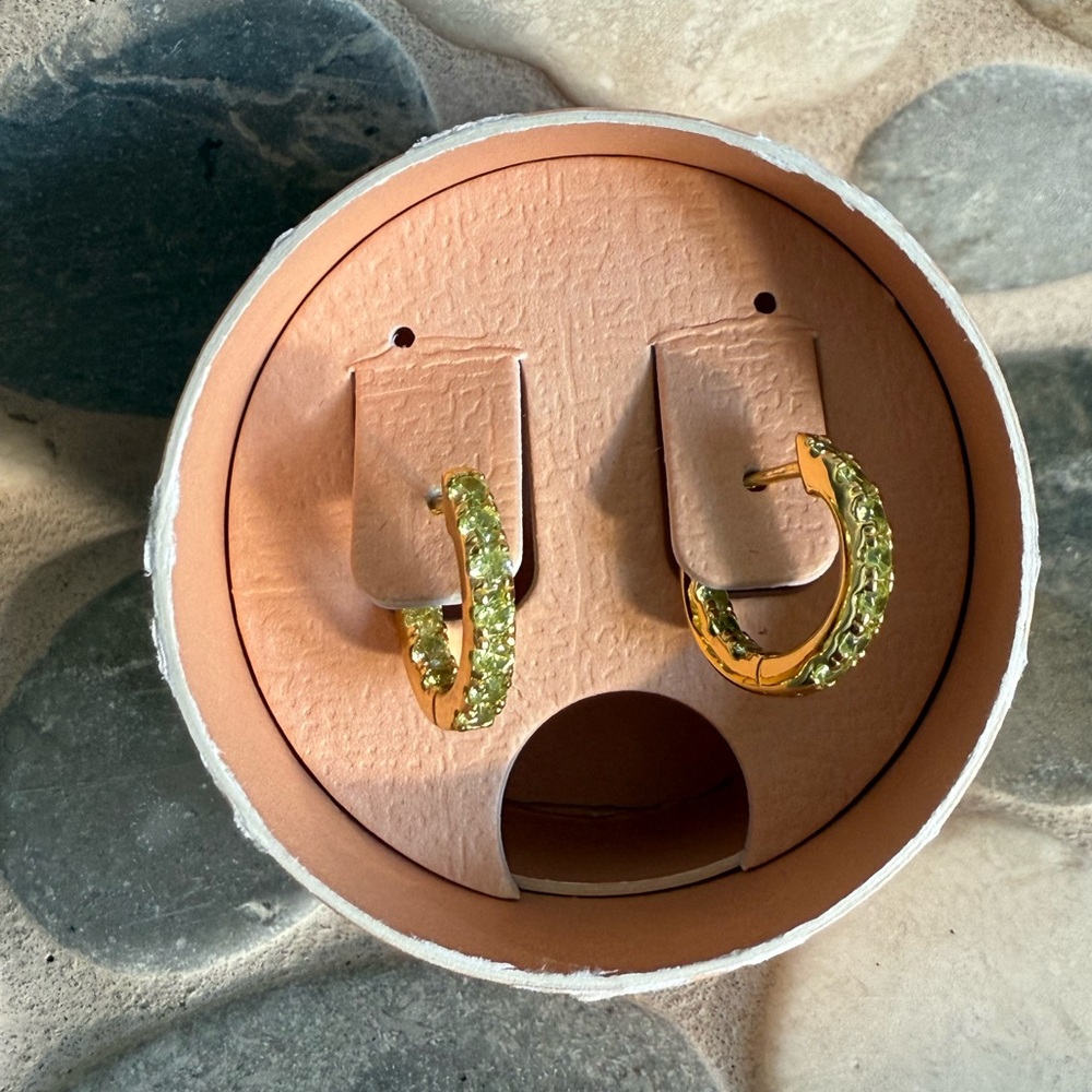 Hillberg & Berk Green Sparkle Hoop Earrings